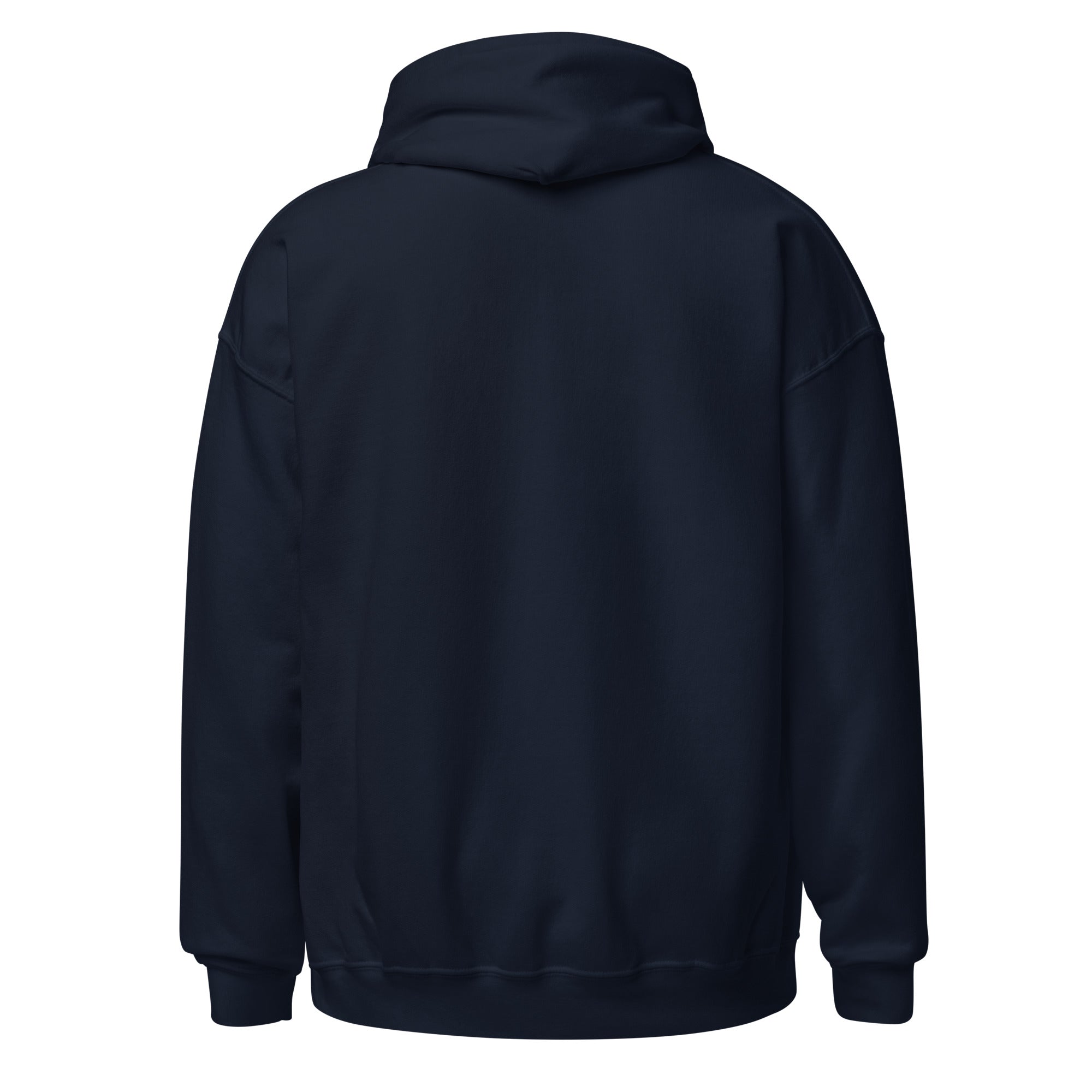 Navy Reload and Try Again graphic hoodie, back view